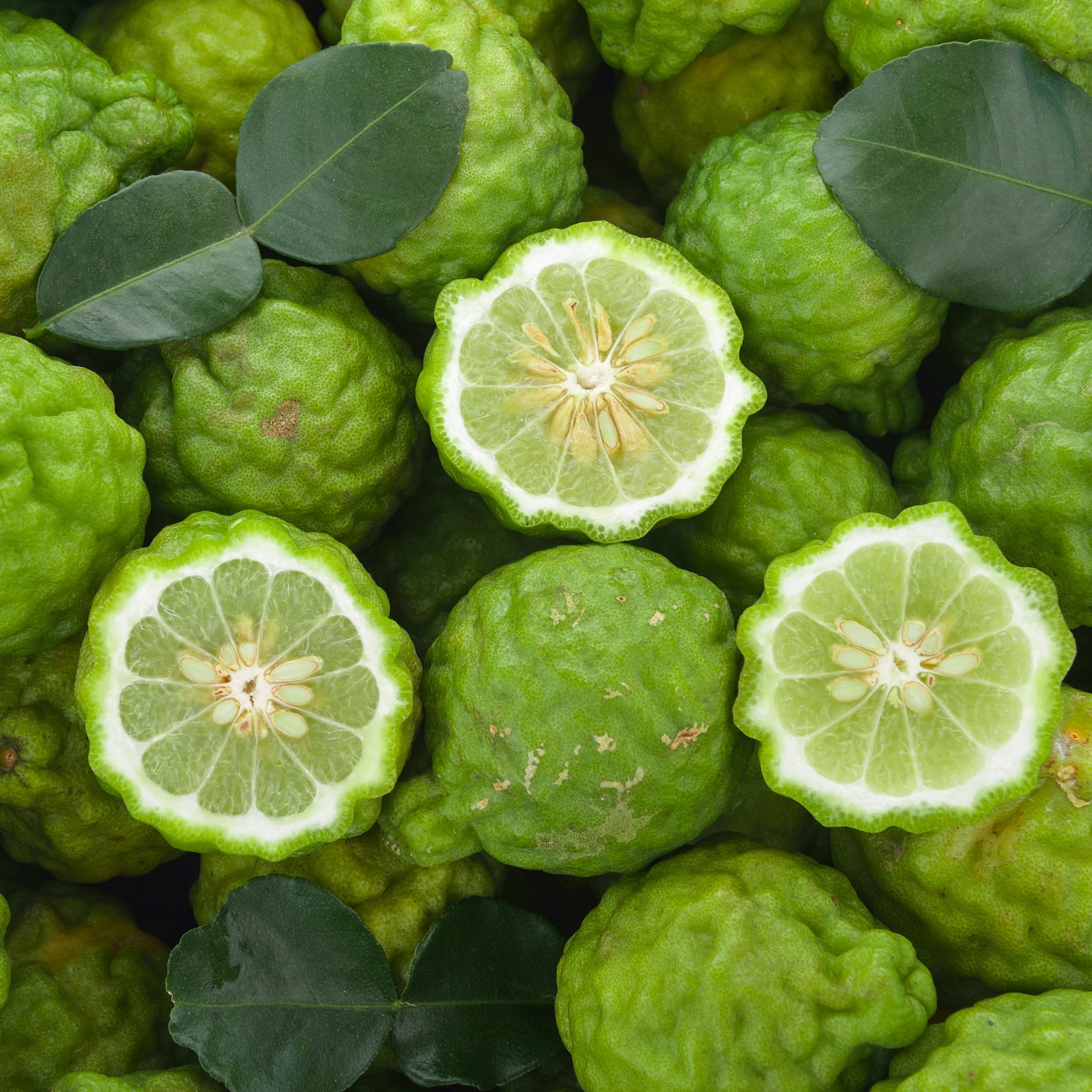 BIO Bergamot – esenciální olej pro aromaterapii | Lázeňská káva
